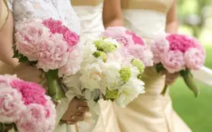 BodyLase Wedding Skin tips