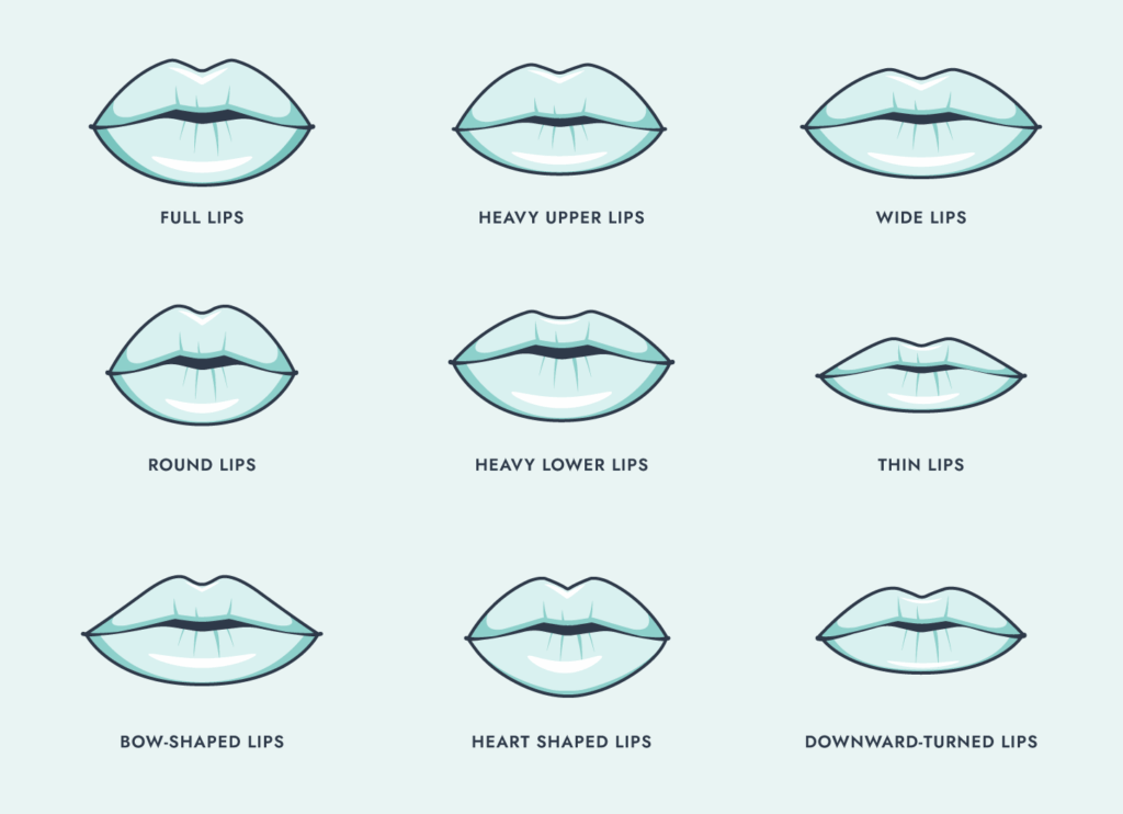 Lip Filler Shapes